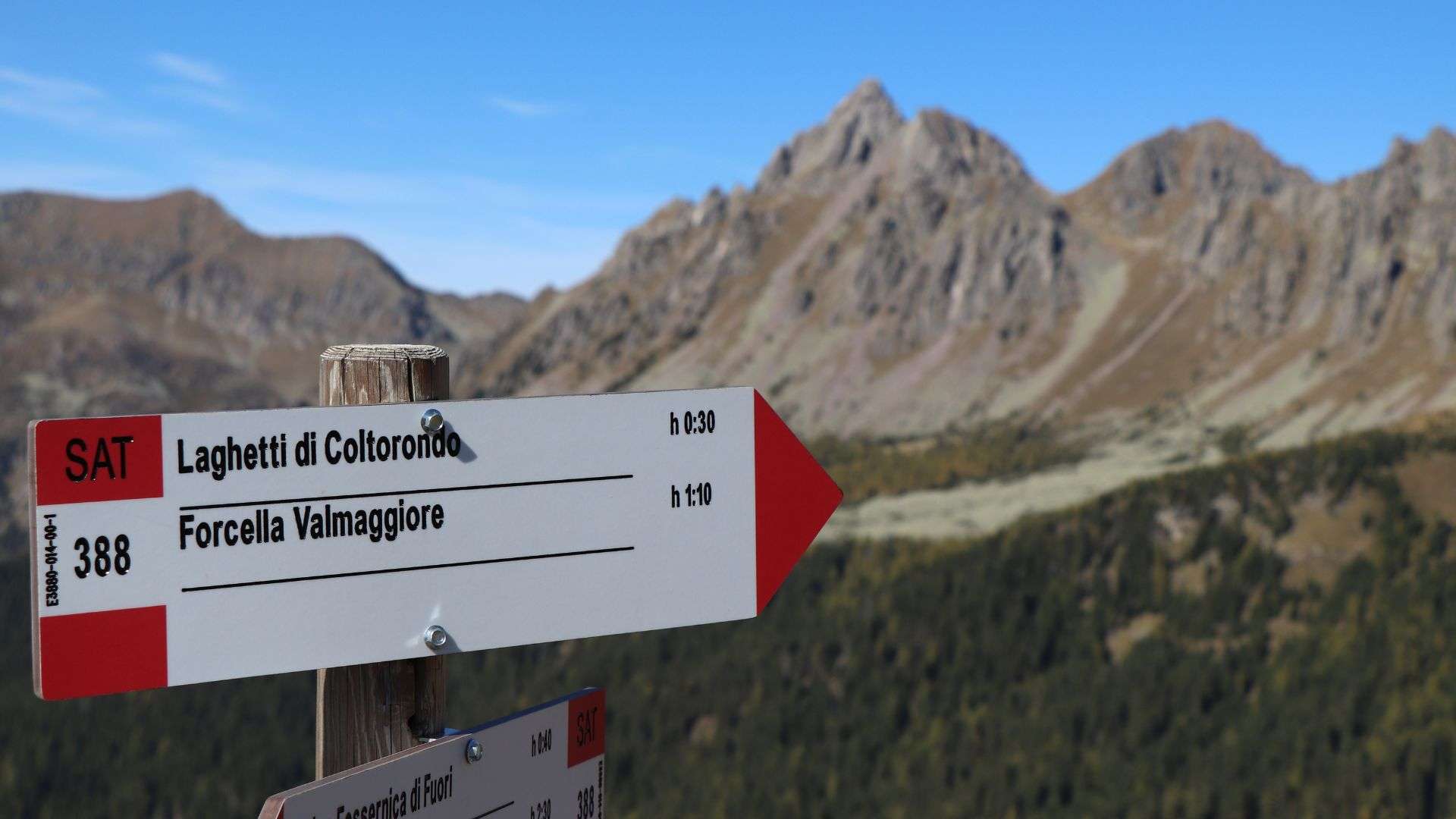 avventure in natura sentieri lagorai escursioni montagna vacanze dolomiti