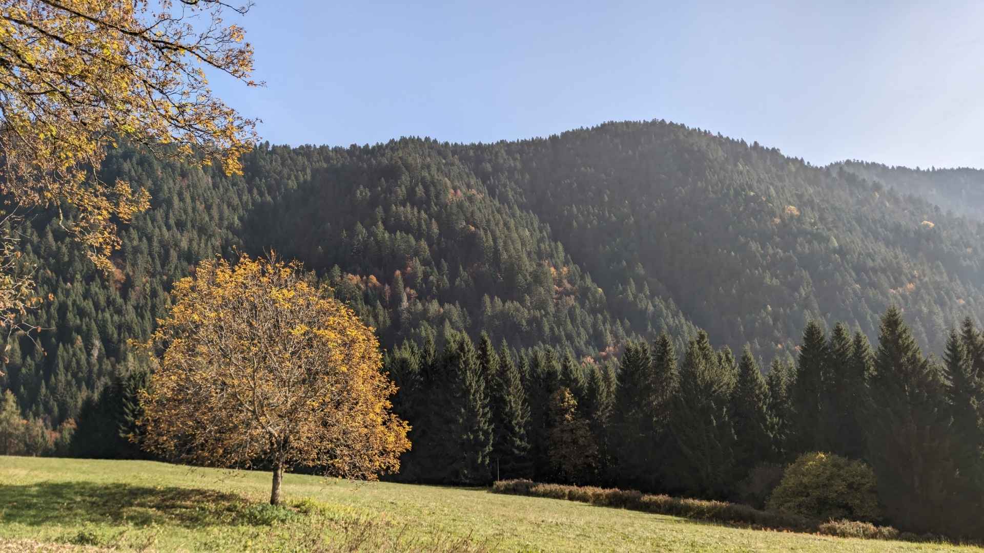 Sentiero delle Erbe trekking panorama