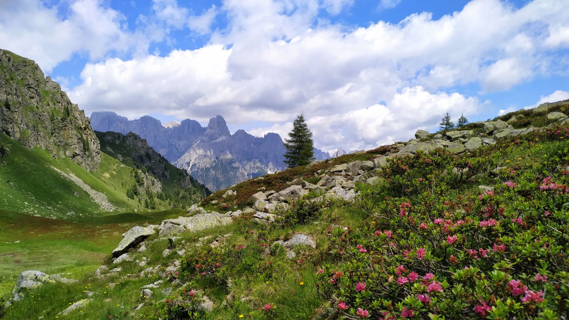 trentino vanoi vacanza estate promozioni san matrino
